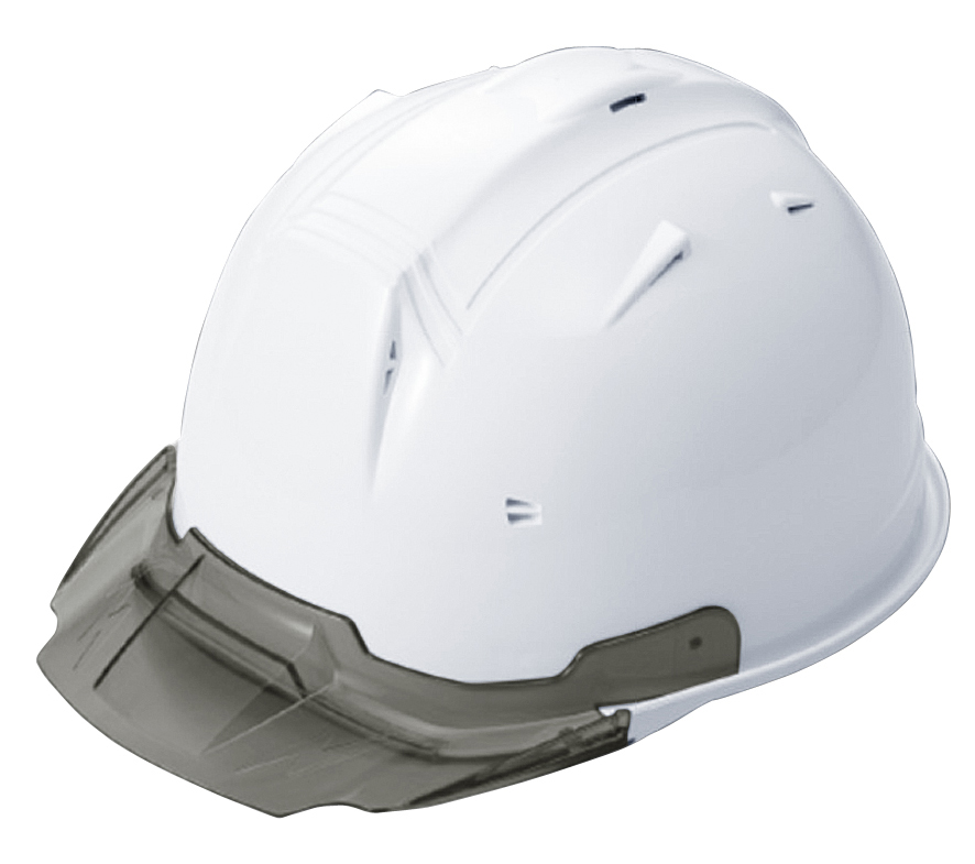 SS-19V KP 着脱式スケルトンバイザー TYPE A or B